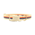 Colorful Stripe Hexagon Dog Collar - plastic silver