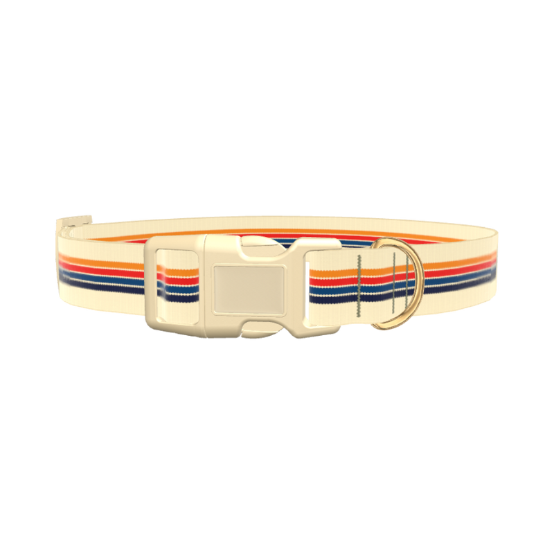 Colorful Stripe Hexagon Dog Collar - plastic silver