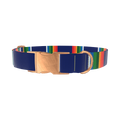 Woven Rainbow Stripe Dog Collar - metal silver