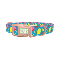 Summer Ice Cream Dog Collar - plastic rose gold