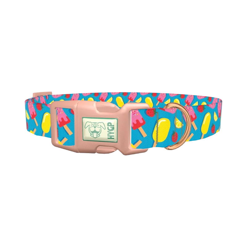 Summer Ice Cream Dog Collar - plastic rose gold