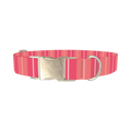 Pink Stripes Dog Collar - metal silver