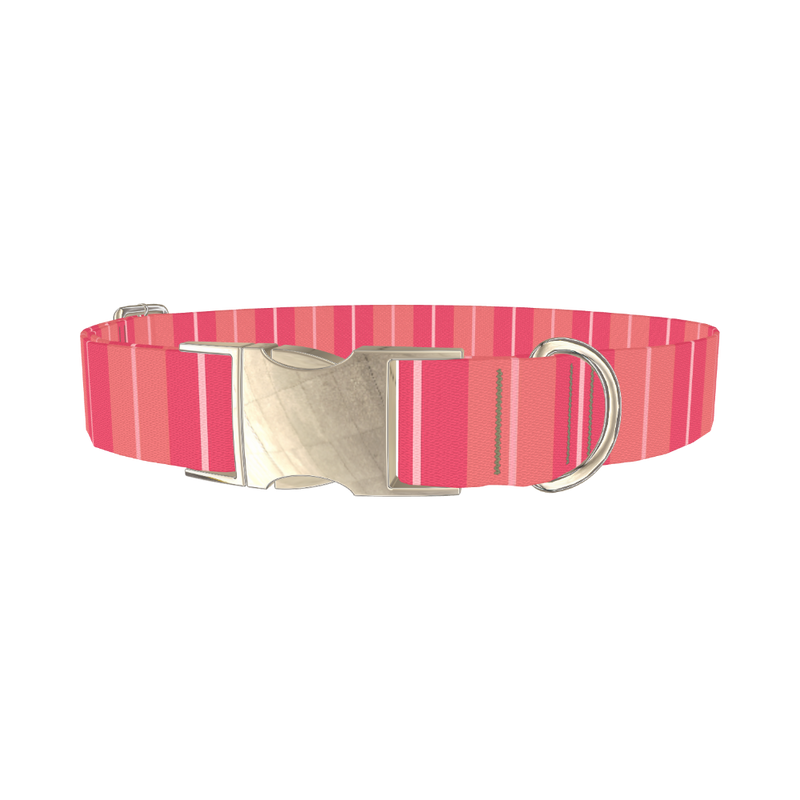 Pink Stripes Dog Collar - metal silver