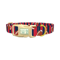 Patriotic Football Dog Collar - plastic gold