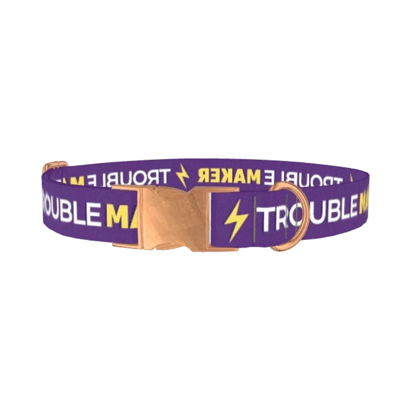 Trouble Maker Dog Collar - metal rose gold