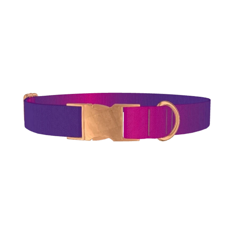 Pink Purple Gradient Dog Collar - metal rose gold