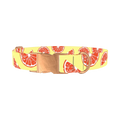 Citrus Fruit Dog Collar - metal rose gold