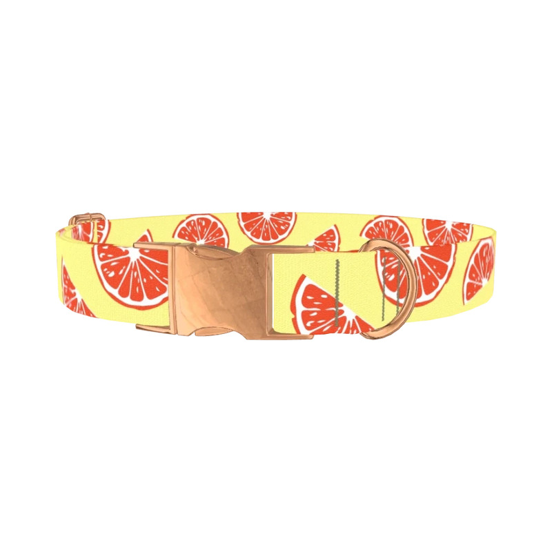 Citrus Fruit Dog Collar - metal rose gold
