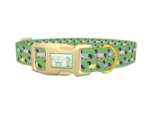 Green Dachshund Sweater Dog Collar