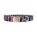 Football Stripes Dog Collar - metal silver