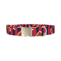 Patriotic Football Dog Collar - metal silver