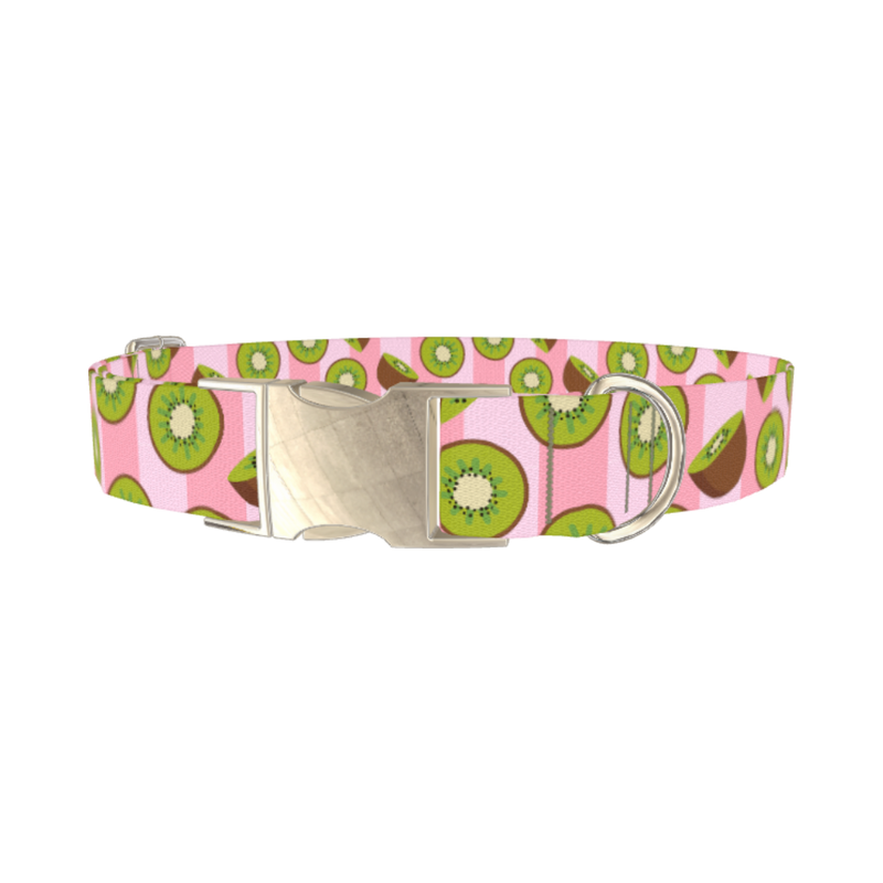 Pink Kiwi Pattern Dog Collar - metal silver