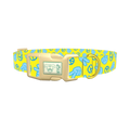 Peace Sign Dog Collar - plastic gold