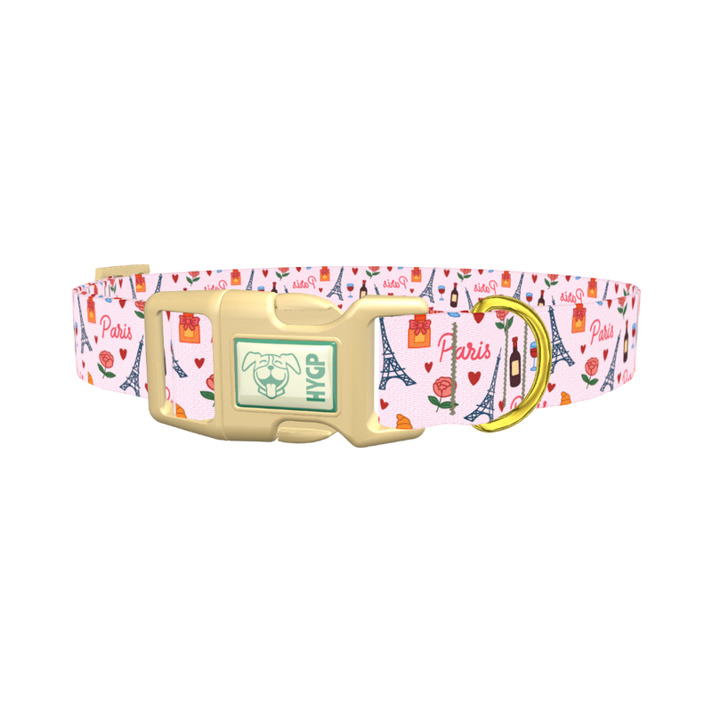 Parisian Romance Dog Collar - plastic gold