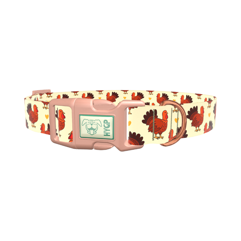 Turkey Heart Dog Collar - plastic gold