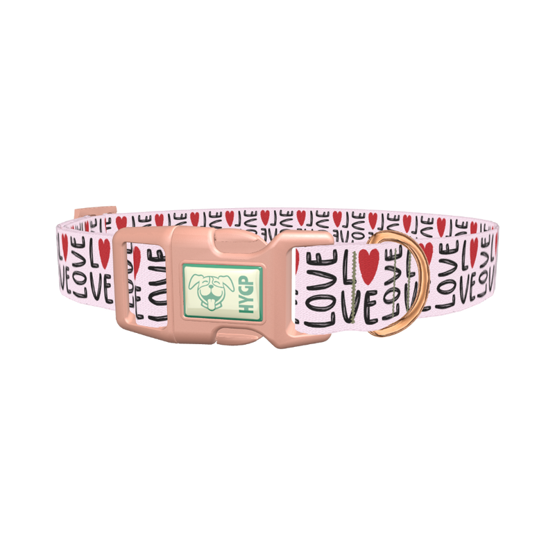 Love Heart Dog Collar - plastic rose gold