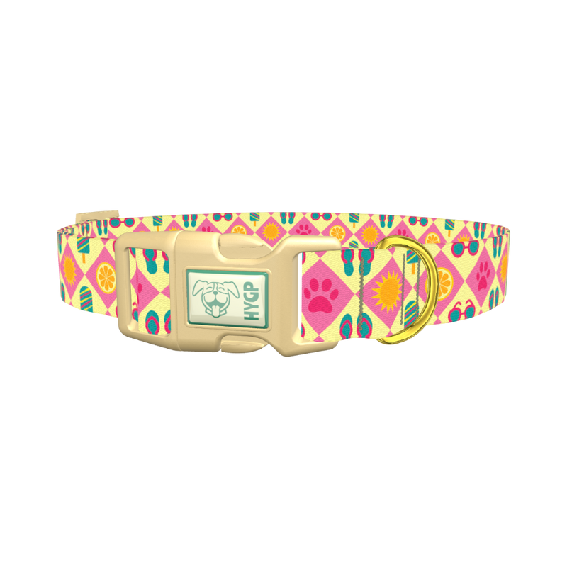 Beach Fun Dog Collar - plastic gold