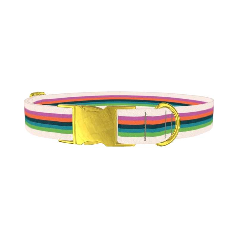 Multicolor Stripe Dog Collar - metal gold