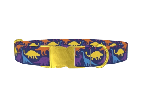 DINOSAUR1_Multicolor
