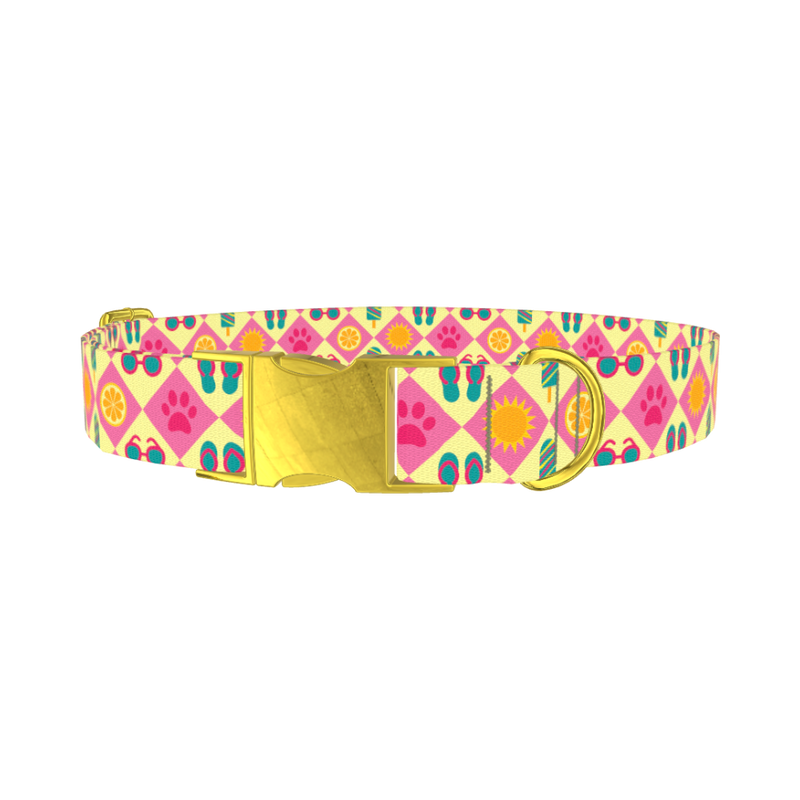 Beach Fun Dog Collar - metal gold