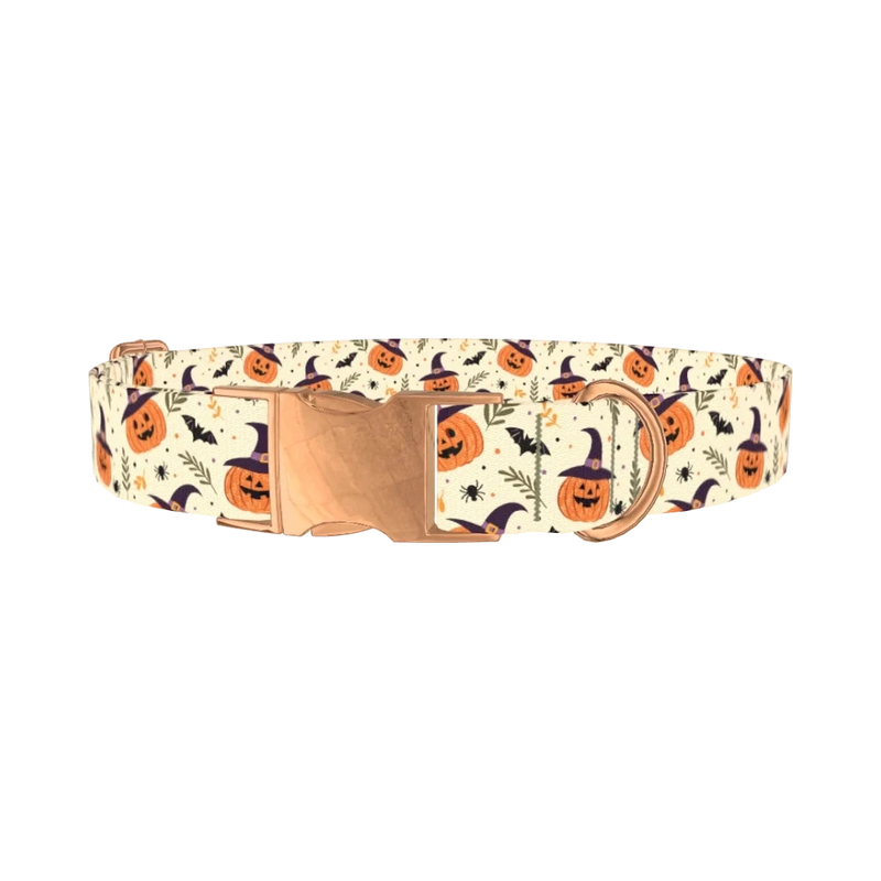 Witchy Pumpkin Halloween Dog Collar - metal rose gold