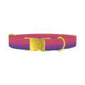 Gradient Pink Blue Dog Collar - metal gold