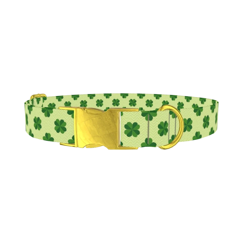 Clover Chevron Dog Collar - metal gold