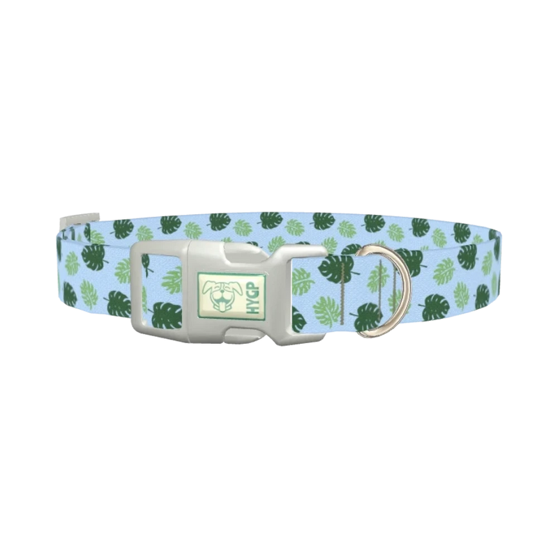 Tropical Hibiscus Dog Collar - plastic silver