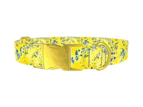PaintSplatter_YellowBlue