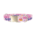 Birthday Cake Celebration Dog Collar - metal silver