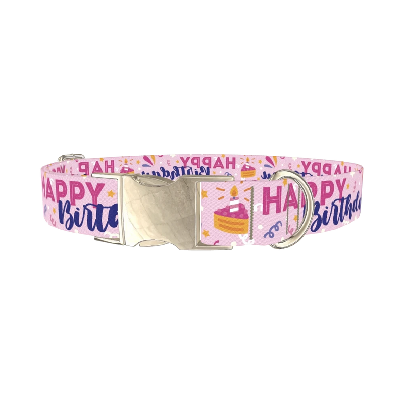 Birthday Cake Celebration Dog Collar - metal silver
