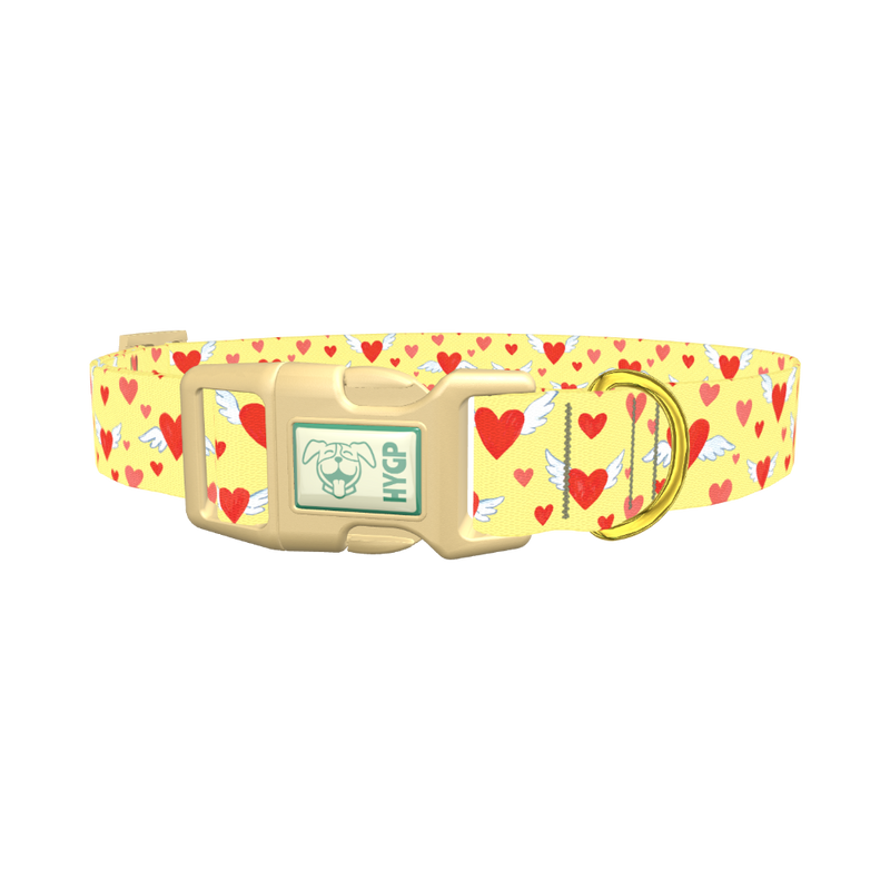 Flying Hearts Dog Collar - plastic gold