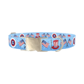 Patriotic American Dog Collar - metal silver