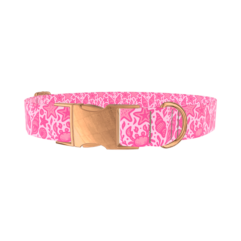 Seashell Ocean Dog Collar - metal gold