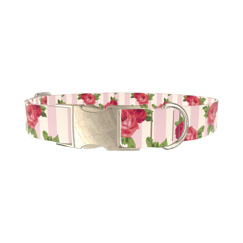 Striped Rose Pattern Dog Collar - metal silver
