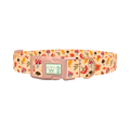 Autumn Leaves and Mushrooms Dog Collar - plastic rose gold
