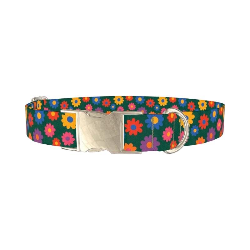 Floral Pattern Dog Collar - metal silver