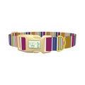 Purple Blue Green Stripes Dog Collar - plastic gold