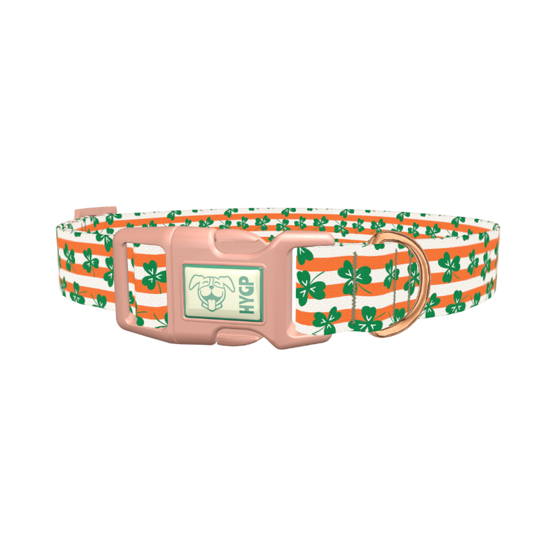 St. Patrick's Clover Stripe Dog Collar - plastic rose gold