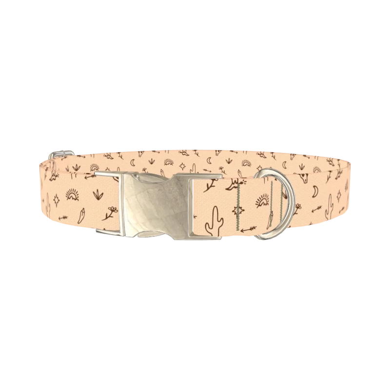 Southwestern Desert Dog Collar - metal silver