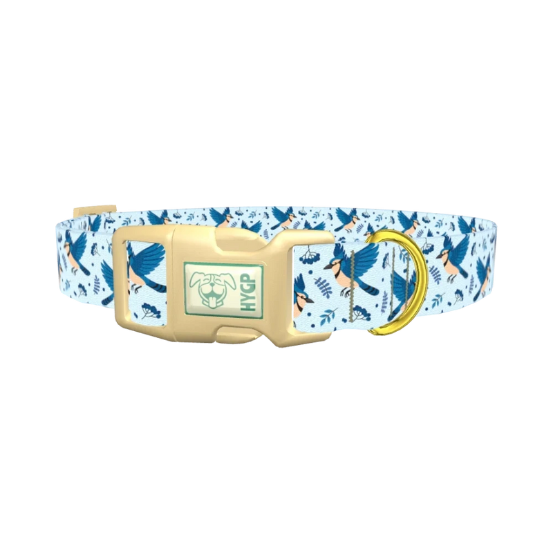 Bluejay Bird Dog Collar - plastic gold