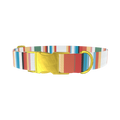 Multicolor Hexagon Stripe Dog Collar - metal rose gold