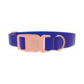 Blue Purple Gradient Dog Collar - plastic rose gold