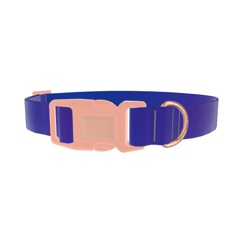 Blue Purple Gradient Dog Collar - plastic rose gold