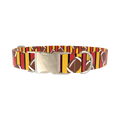 Football Stripe Dog Collar - metal silver