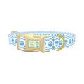 Cyan Skull Pattern Dog Collar - plastic gold
