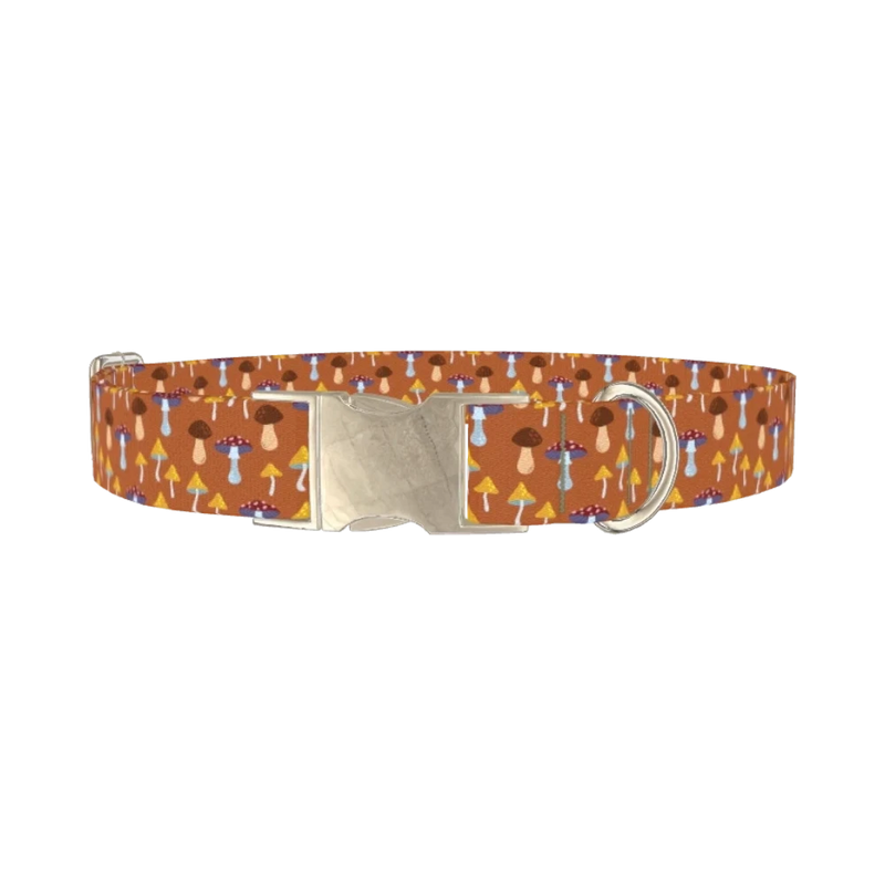 Green Mushroom Dog Collar - metal silver
