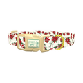 Festive Poinsettia Dog Collar - plastic gold