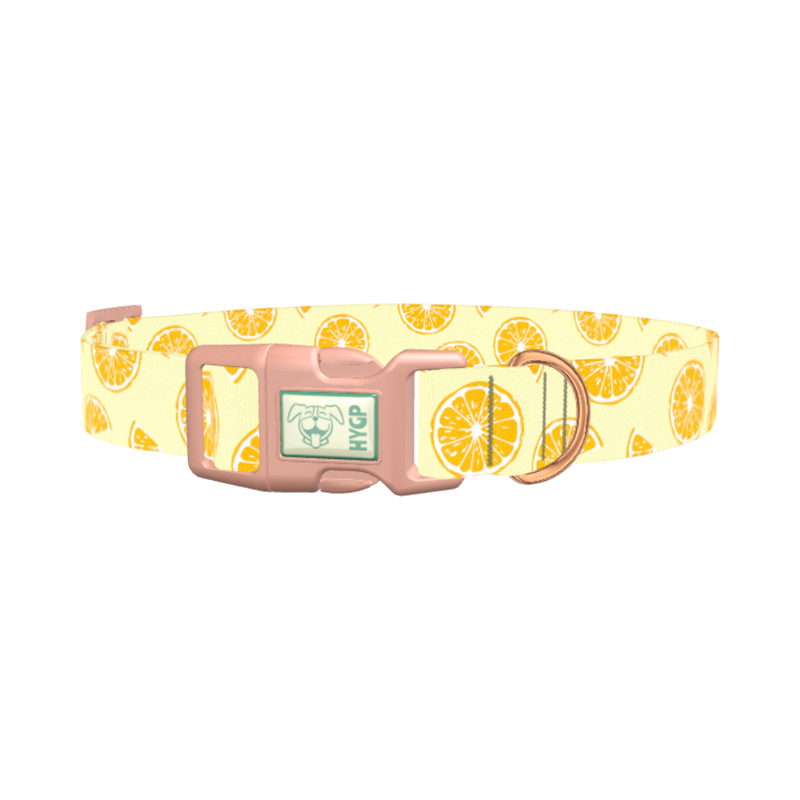 Yellow Citrus Slice Dog Collar
