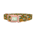 Bright Meadow Flowers Dog Collar - plastic rose gold